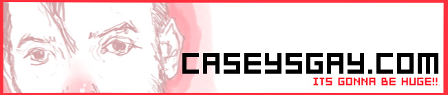 caseysgay.com