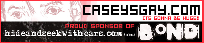 caseysgay.com